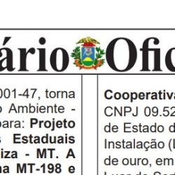 Publicação Diário Oficial Nº 29.090 07/10/2025